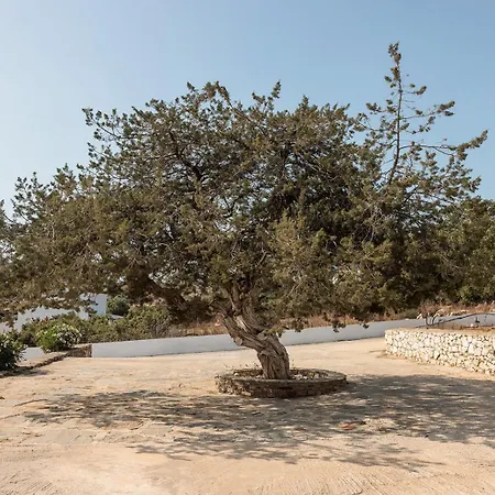Aurea Blu 05, Experience Nature, Relax, Dream Appartement Aliko Beach