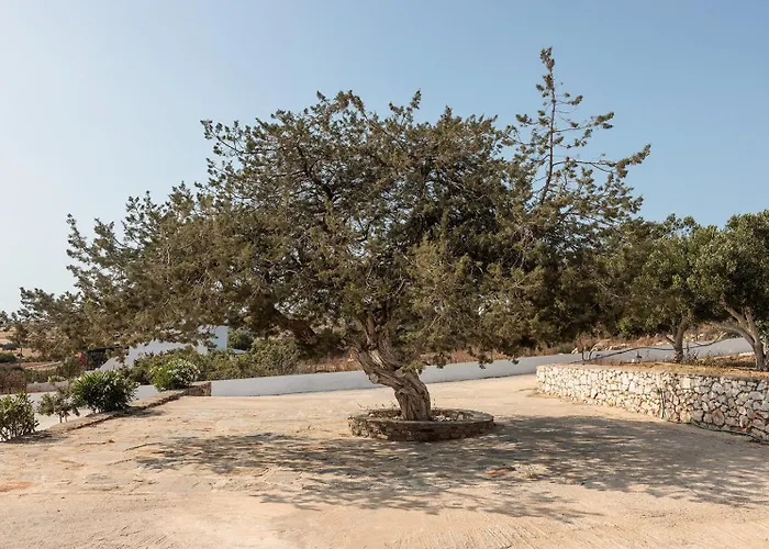 Aurea Blu 05, Experience Nature, Relax, Dream Lägenhet Aliko Beach